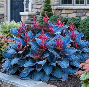 Хоста Грин Фог купить по цене от 669р. в интернет-магазине «Посадика» с доставкой почтой в в Балахнае и по всей России – [изображение №1].