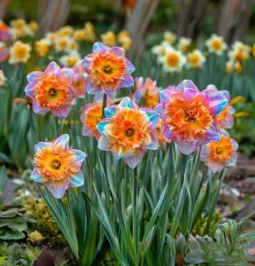 Нарцисс Айвери Дон купить по цене от 3000р. в интернет-магазине «Посадика» с доставкой почтой в в Балахнае и по всей России – [изображение №1].