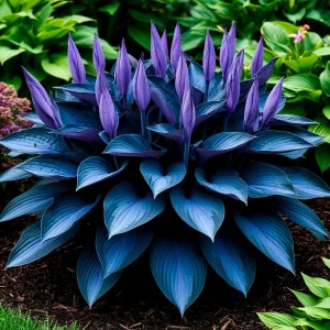 Хоста Сикрет Гров купить по цене от 570р. в интернет-магазине «Посадика» с доставкой почтой в в Балахнае и по всей России – [изображение №1].