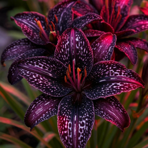 Лилейник Вояж купить по цене от 699р. в интернет-магазине «Посадика» с доставкой почтой в в Балахнае и по всей России – [изображение №1].